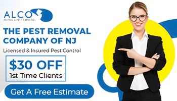 Bee-Removal-in-Bergen-County-NJ
