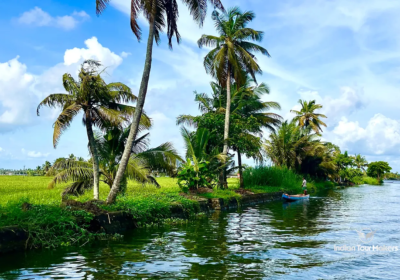 Kochi-Munnar-Thekkady-Alleppey-tour-packages