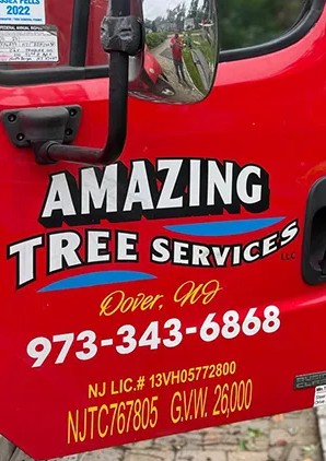 Tree Service Estimate in North NJ – Amazing Tree Services