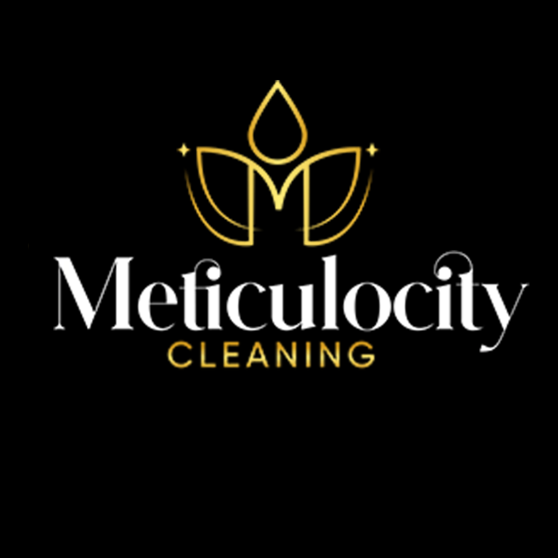 Meticulocity Cleaning