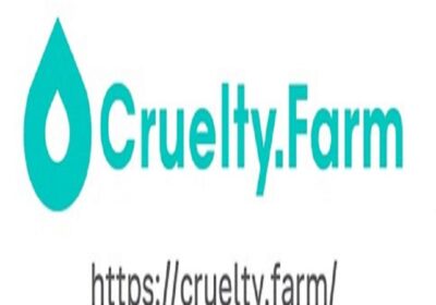 Screenshot-2025-07-22-190230-Copy