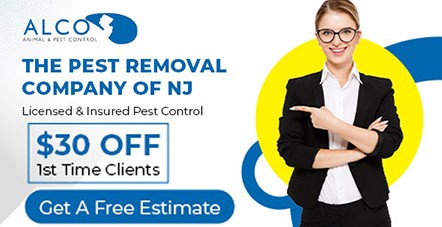 Pest Control Estimate in Northern NJ – ALCO Animal & Pest Control