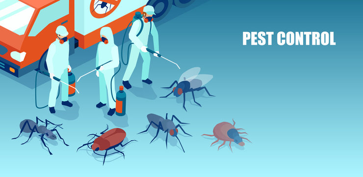 Affordable Pest Control Service Near You for Complete Home Protection