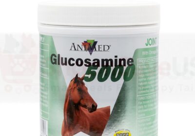 Horse-Supplements