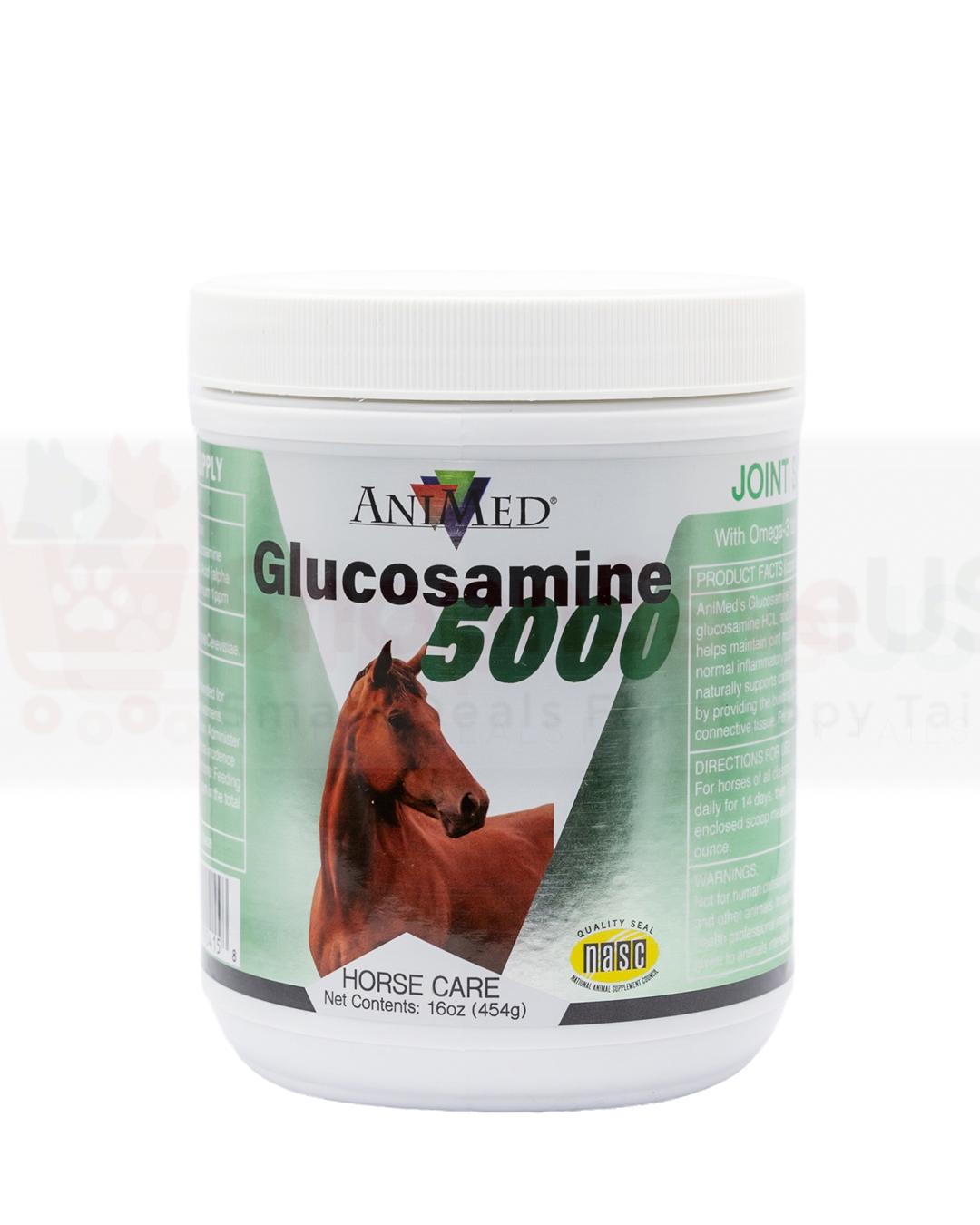 Horse Supplements