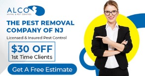 Pest-Control-in-NJ-in-the-Spring