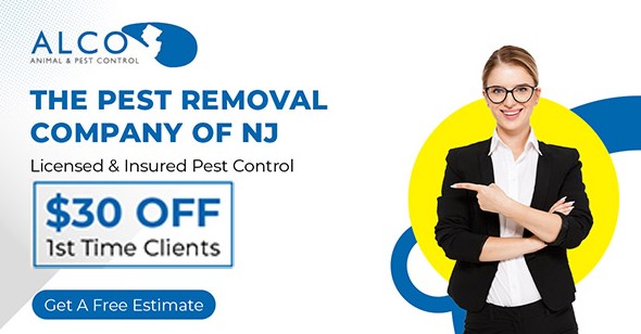 Pest Control estimate in NJ – ALCO Animal & Pest Control