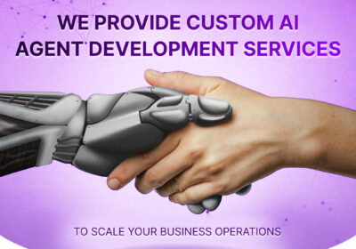 WE-PROVIDE-CUSTOM-AI-AGENT-DEVELOPMENT-Services1