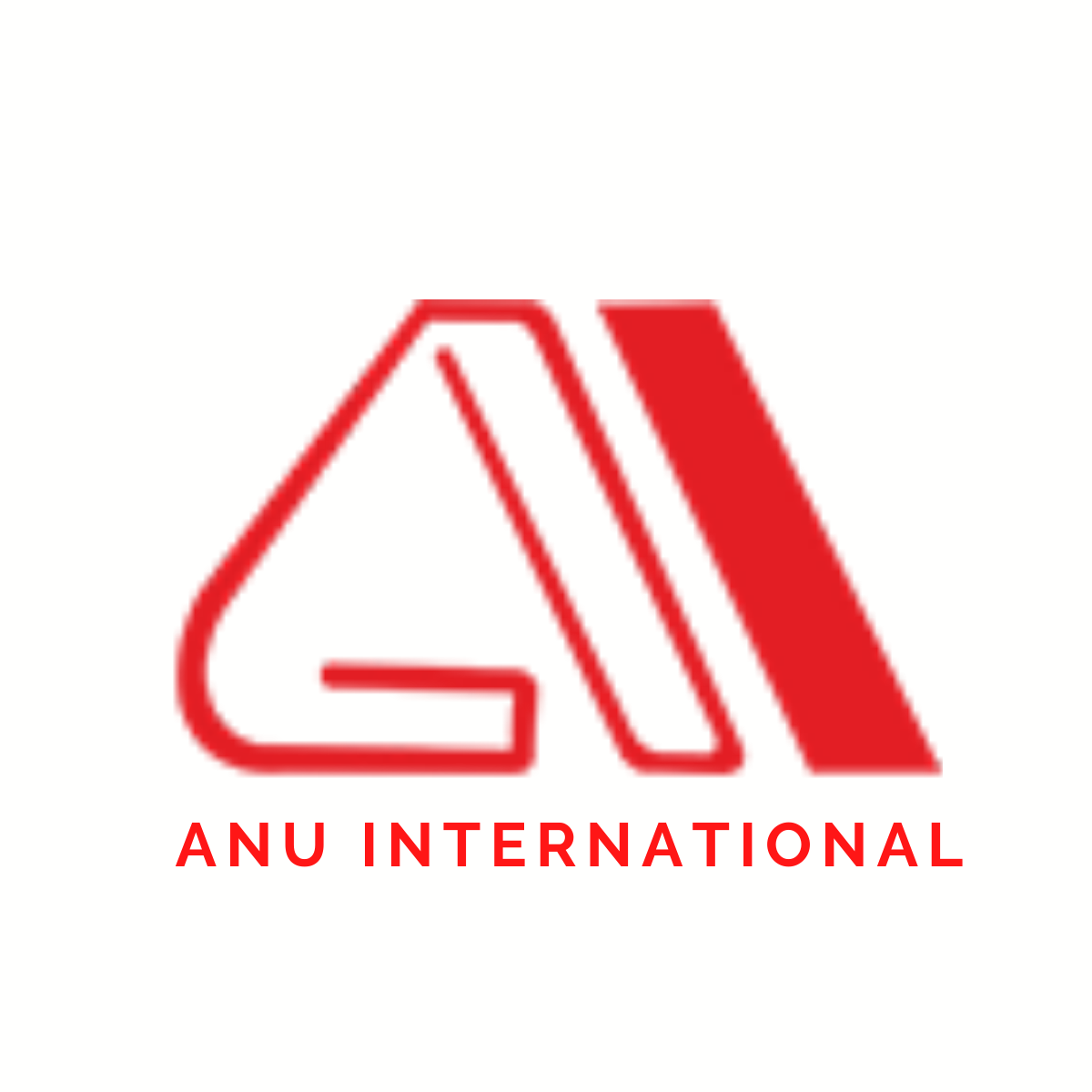 Anu International