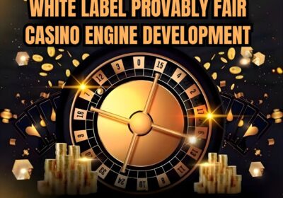 Dappsfirm-White-Label-Provably-Fair-Casino-Engine-Development
