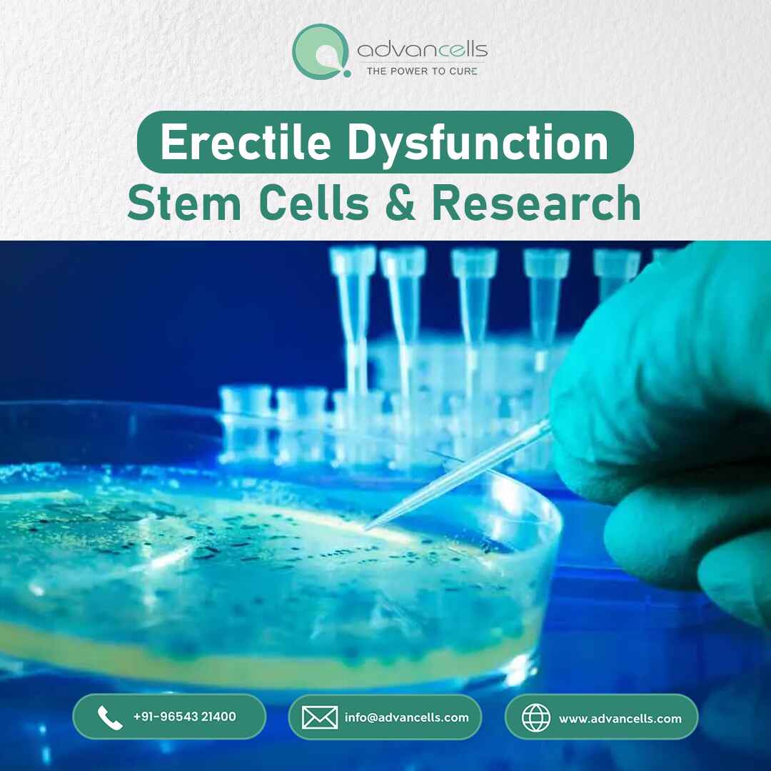 Erectile Dysfunction Stem Cells and Research