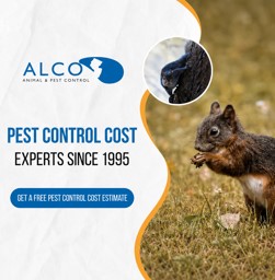 Pest-Control-Cost-1