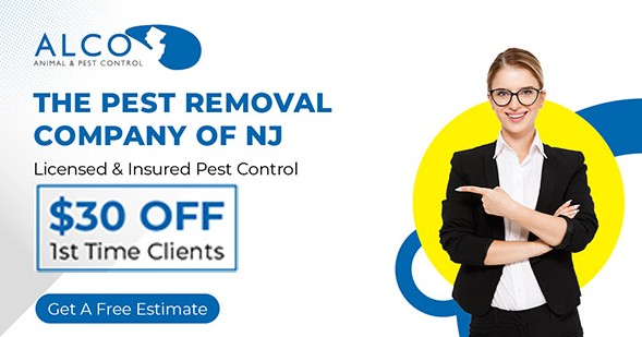 Pest Control estimate in NJ – ALCO Animal & Pest Control