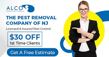 Professional Pest Removal Services by ALCO Animal & Pest Control