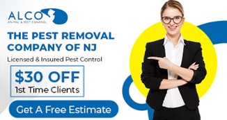 Squirrel-Control-Bergen-County-NJ