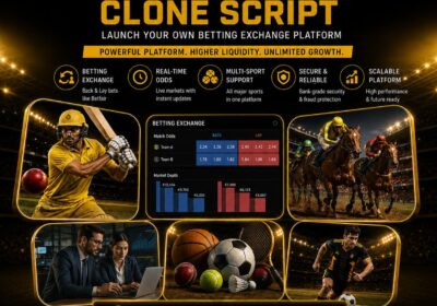 Hivelance-Betfair-Clone-Script