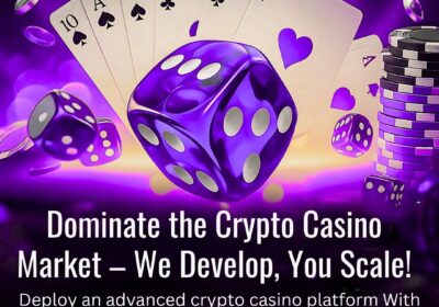 Hivelance-Crypto-Casino-Clone-Script