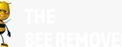 Privacy Policy 10 Logo-2