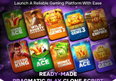 MADE-PRAGMATIC-PLAY-CLONE-SCRIPT-1-1-1-2