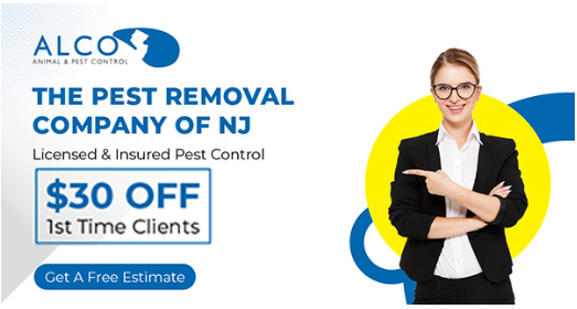 Pests of Spring in NJ – ALCO Animal & Pest Control