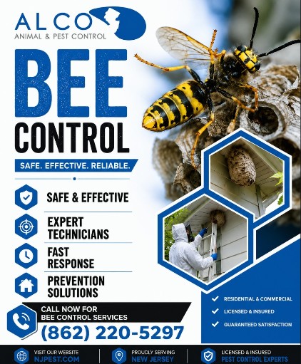 Bee Control in NJ – ALCO Animal & Pest Control