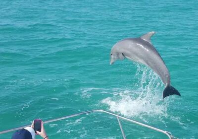 c96146a7761b2cb6b27a159fc6b45b8c