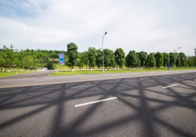 forest-road_1112-1867